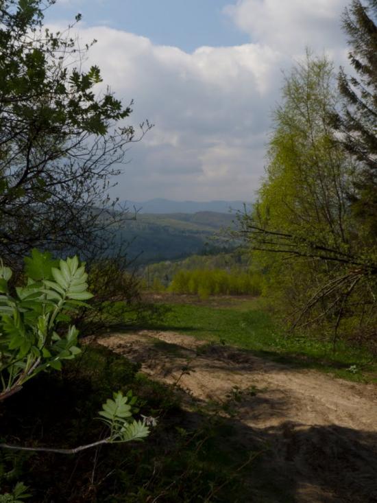 Орів з panoramio.com - Оров