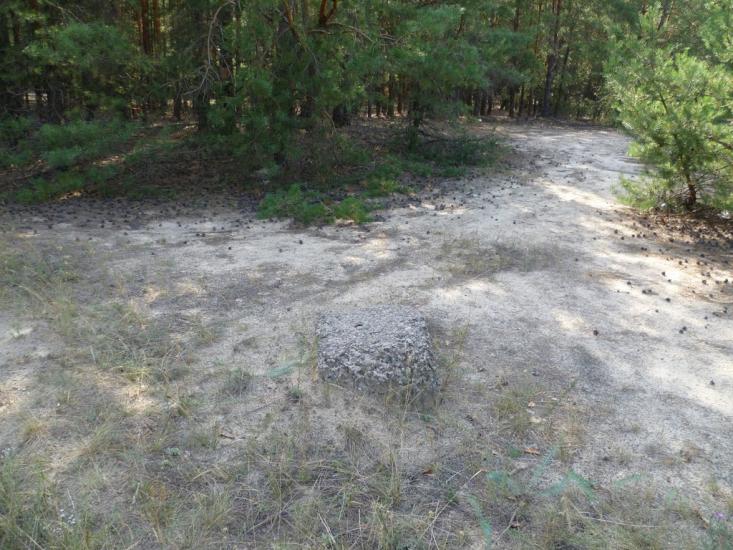 Мареничі з panoramio.com - Мареничі