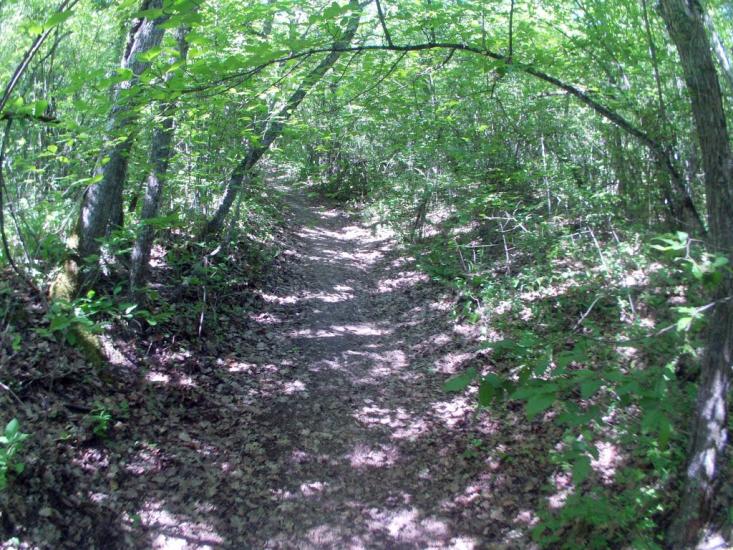 Баштанівка з panoramio.com - Баштанівка