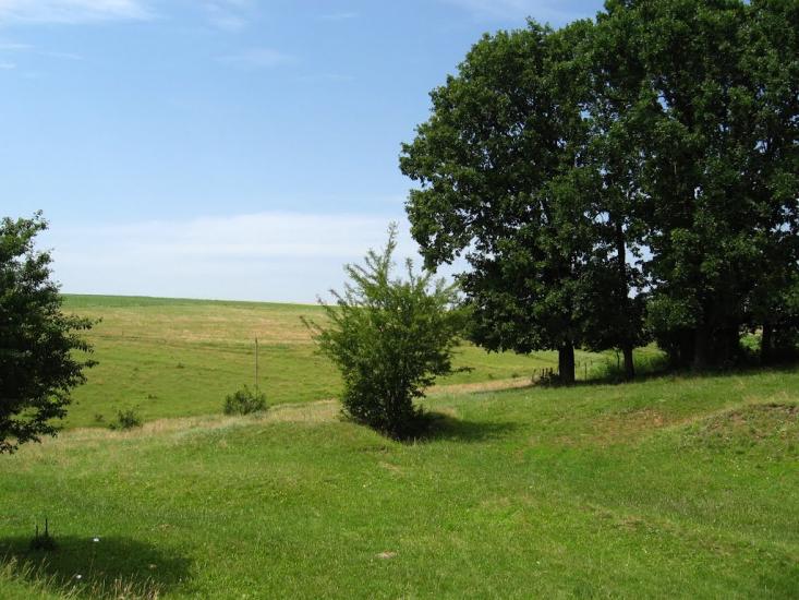 Хоменки з panoramio.com - Хоменки