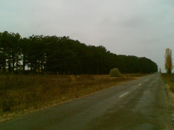 Піщанівка з panoramio.com - Песчановка
