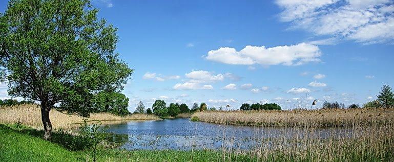 Білопілля з panoramio.com - Белополье