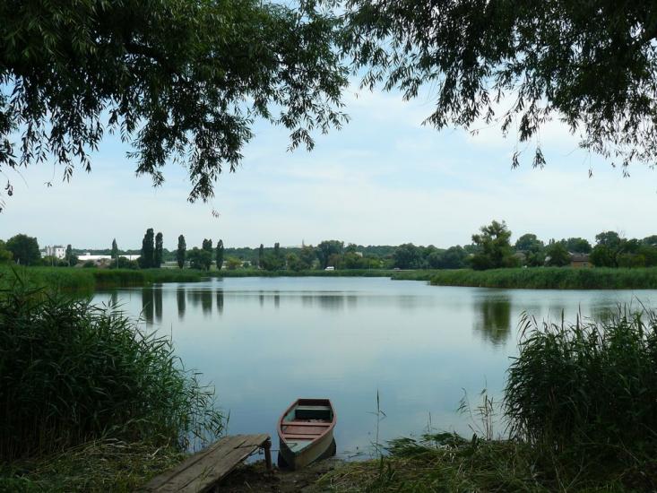 Протопопівка з panoramio.com - Протопопівка