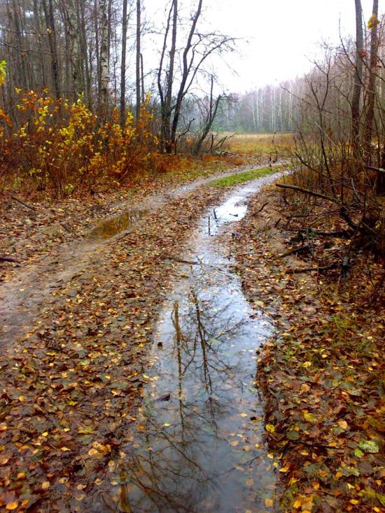 Нові Яриловичі з panoramio.com - Новые Ярыловичи