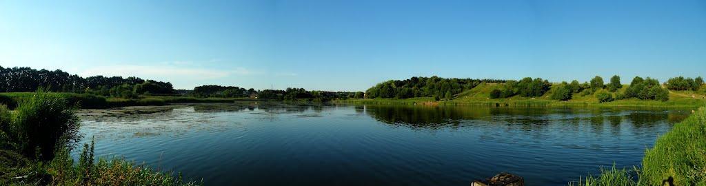 Зарванці з panoramio.com - Зарванцы