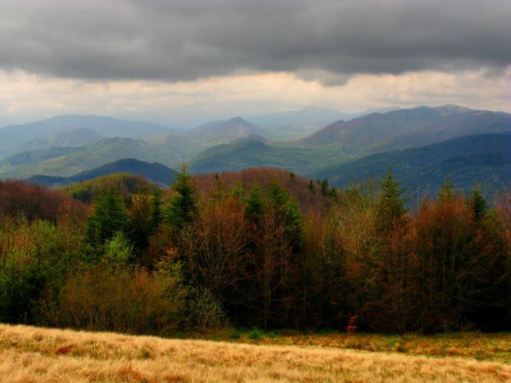 Гусний з panoramio.com - Гусний