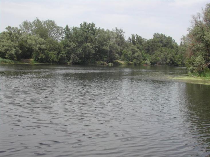Курортне з panoramio.com - Курортное