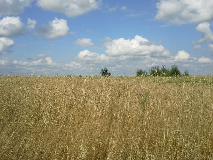 Вирка з panoramio.com - Vyrka