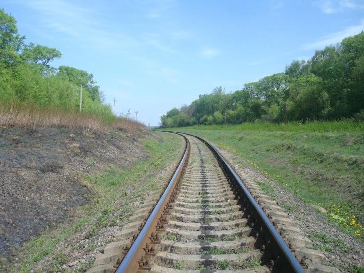 Старі Бейзими з panoramio.com - Старі Бейзими