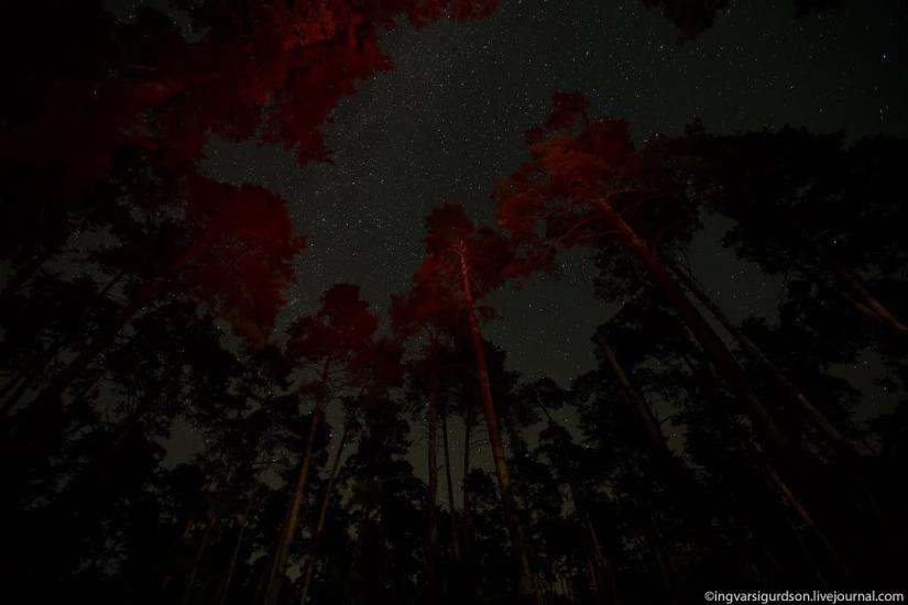 Квітневе з panoramio.com - Квитневое