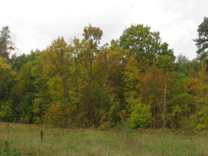 Шипилівка з panoramio.com - Shypylivka