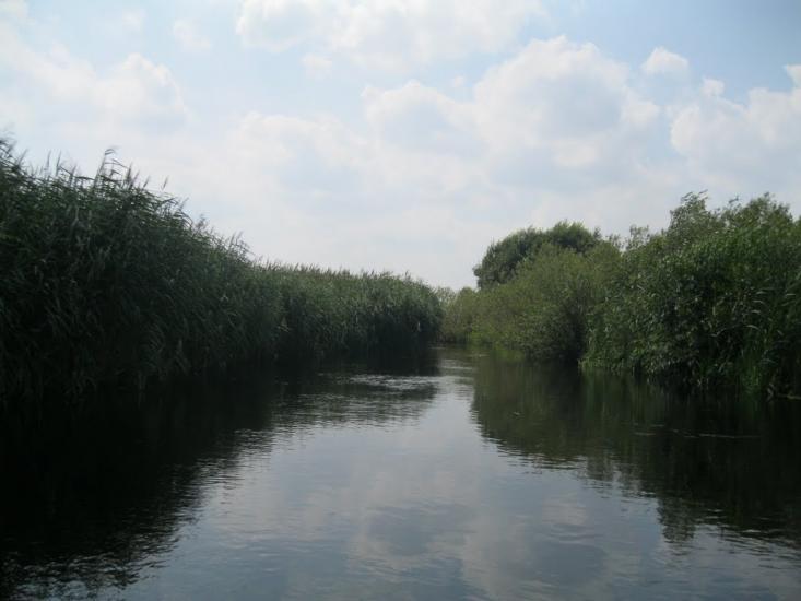 Хотешів з panoramio.com - Khoteshiv