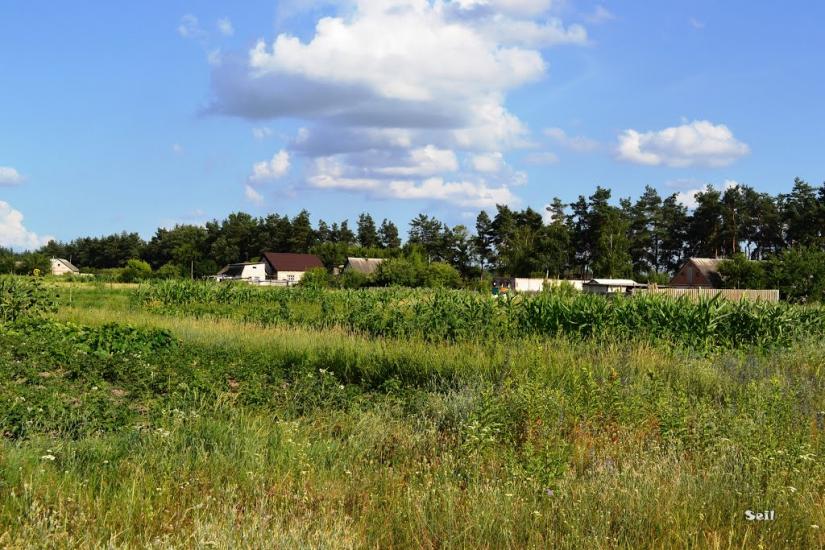 Бездрик з panoramio.com - Бездрик