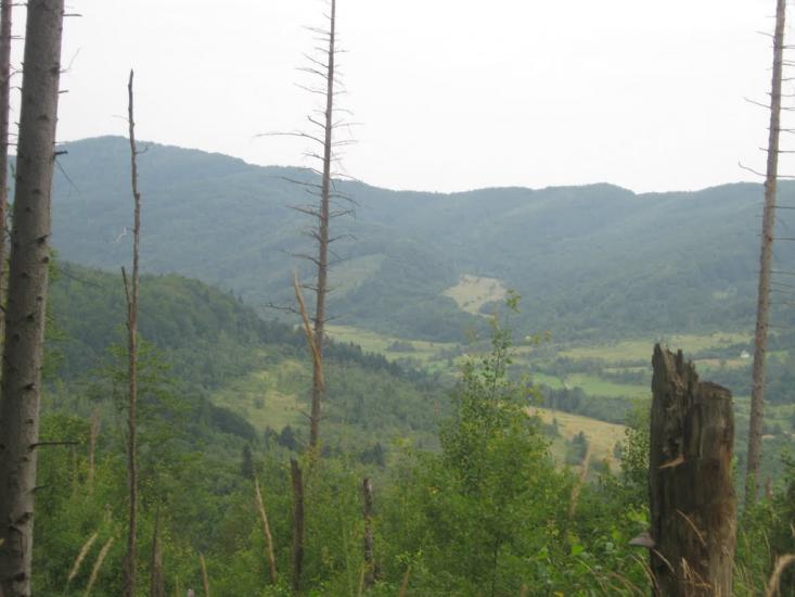 Крушельниця з panoramio.com - Крушельница