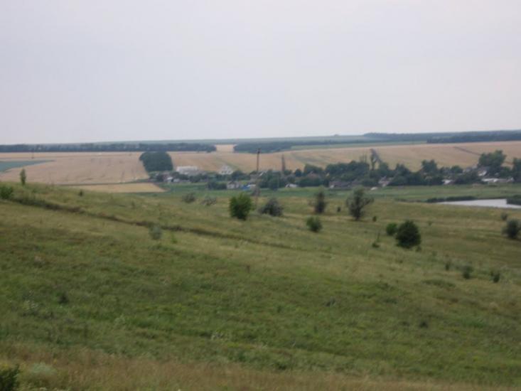 Островського з panoramio.com - Костянтинопольське