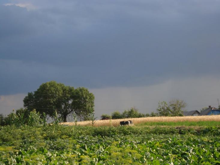 Зайцівка з panoramio.com - Зайцівка