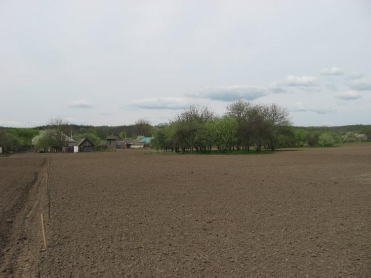 Журавне з panoramio.com - Журавное