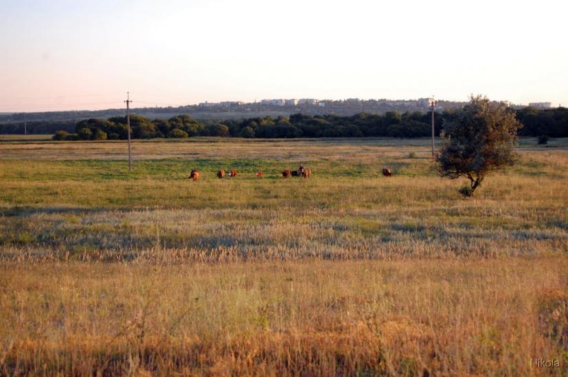 Борівське з panoramio.com - Боровское