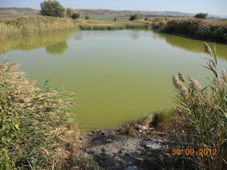Денисівка з panoramio.com - Денисівка