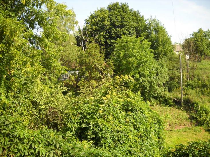Коротич з panoramio.com - Коротич