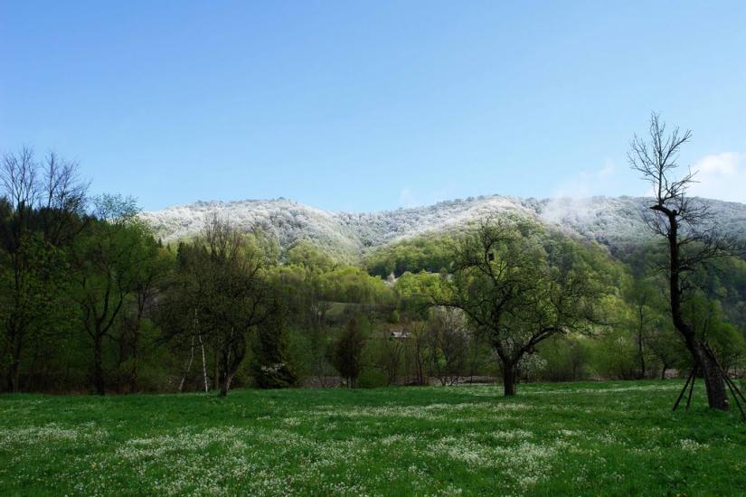 Прокурава з panoramio.com - Прокурава