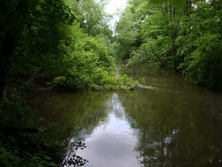 Личківці з panoramio.com - Лычковцы