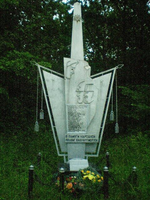 Черепашинці з panoramio.com - Cherepashyntsi
