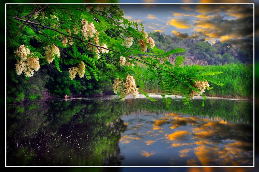 Олександрівка з panoramio.com - Олександрівка