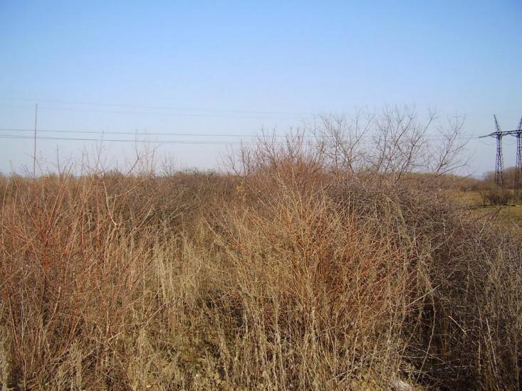 Фрунзе з panoramio.com - Фрунзе