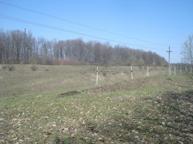 Лопатинці з panoramio.com - Лопатинці