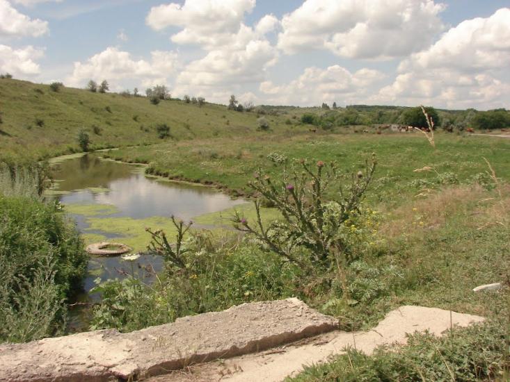 Володимирівка з panoramio.com - Володимирівка