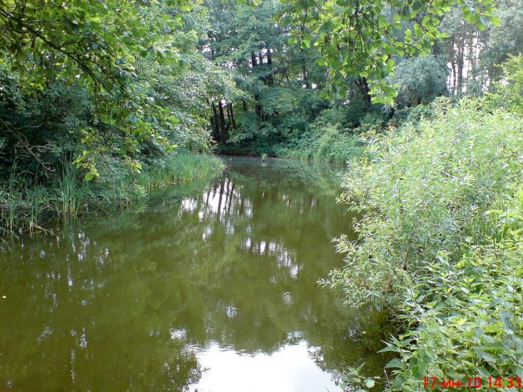 Бірки з panoramio.com - Бирки