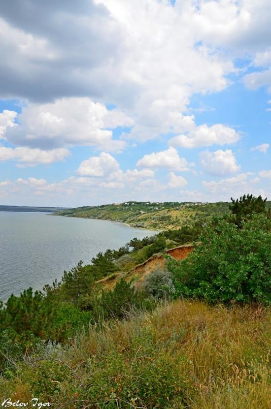 Алтестове з panoramio.com - Алтестово