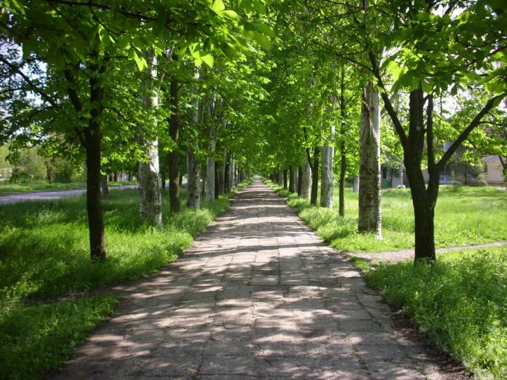 Михайлівка з panoramio.com - Михайловка