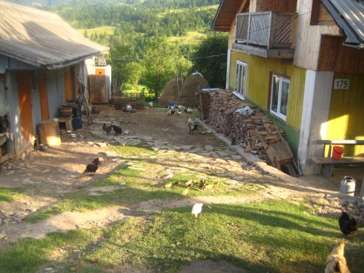 Кричка з panoramio.com - Кричка