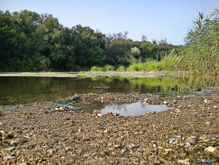 Стародубівка з panoramio.com - Стародубівка