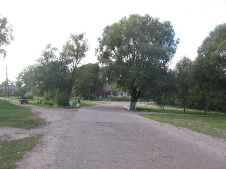 Петрушин з panoramio.com - Petrushyn