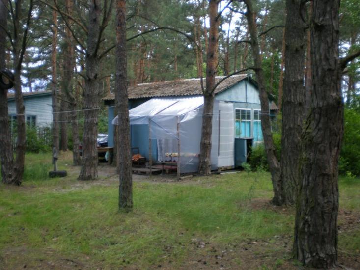 Вища Дубечня з panoramio.com - Вища Дубечня