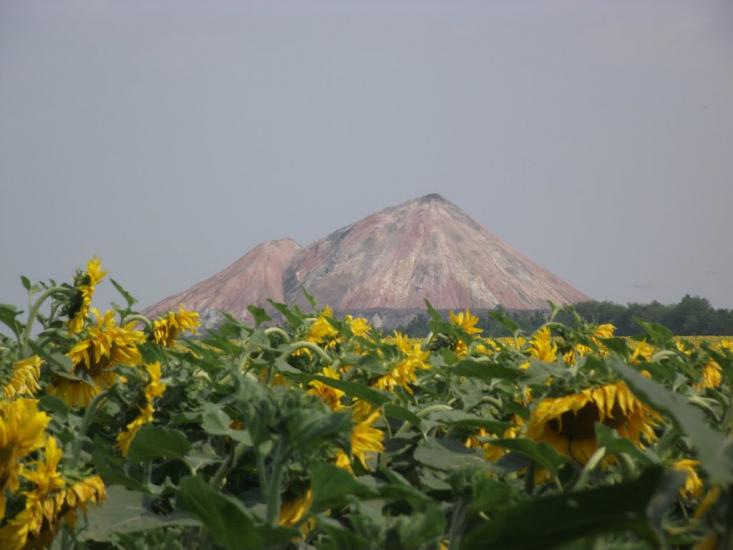 Звірове з panoramio.com - Зверево