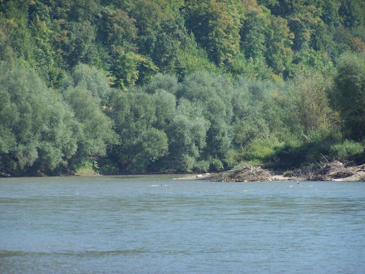Старе Село з panoramio.com - Старое Село