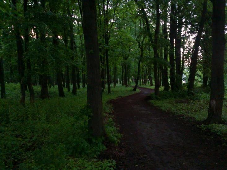 Кияниця з panoramio.com - Кияниця