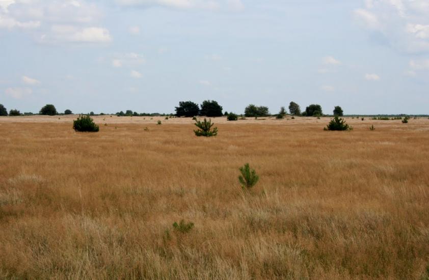 Хабарище з panoramio.com - Хабарище