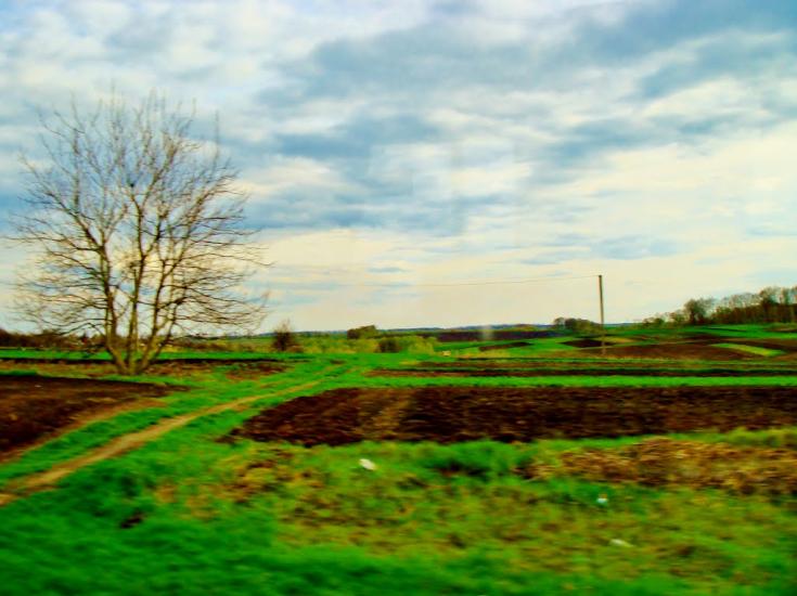 Лука з panoramio.com - Лука