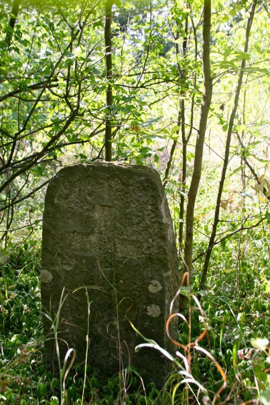 Луковиця з panoramio.com - Луковица