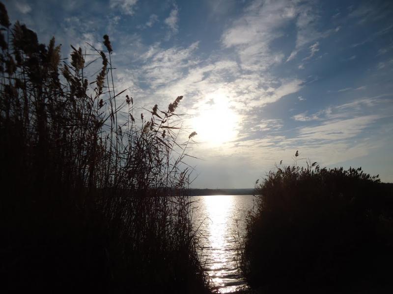 Доля з panoramio.com - Dolya