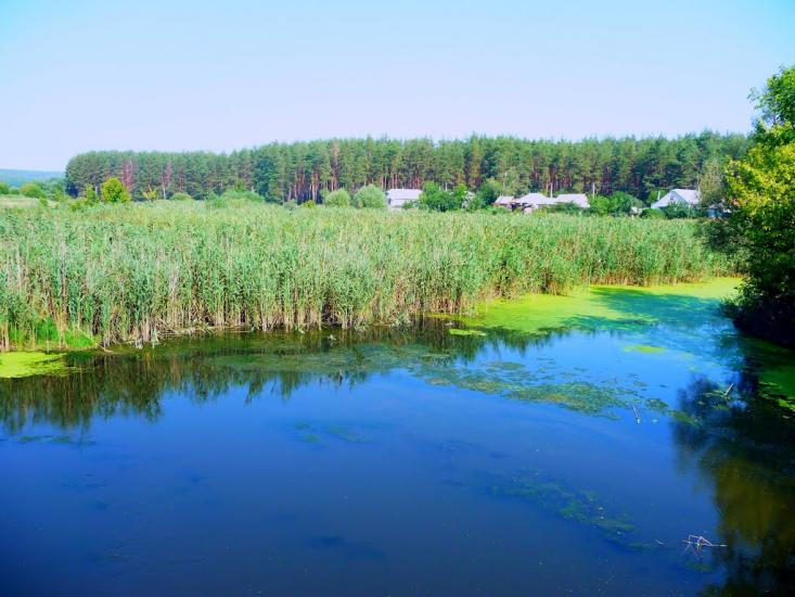 Хорошеве з panoramio.com - Хорошево