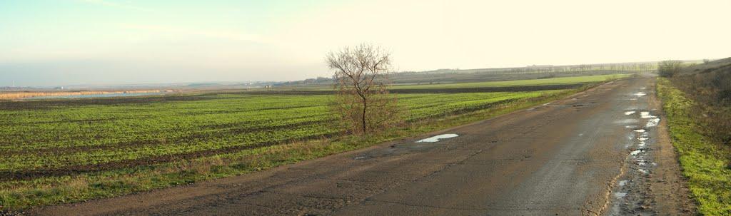 Павлівка з panoramio.com - Павловка