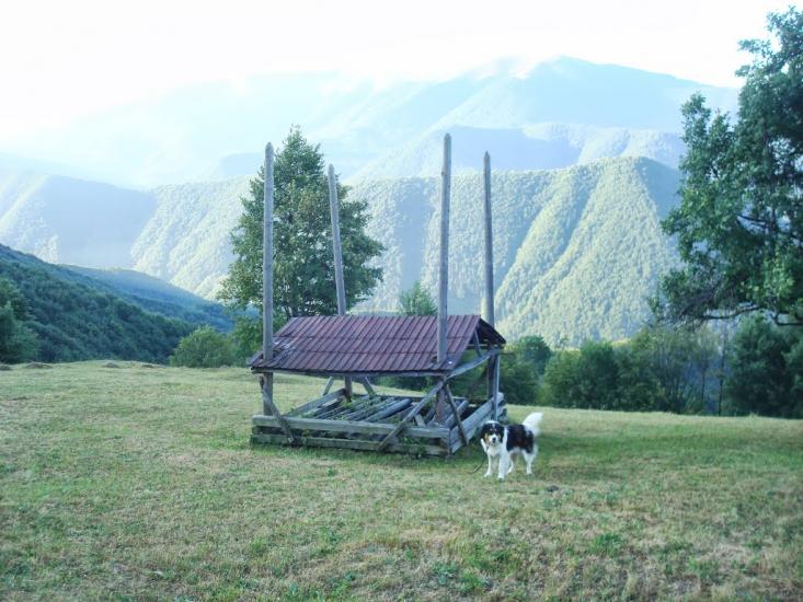 Красна з panoramio.com - Krasna