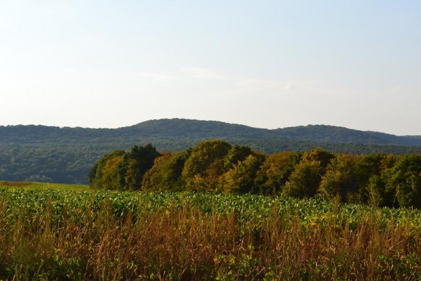 Романівка з panoramio.com - Романівка