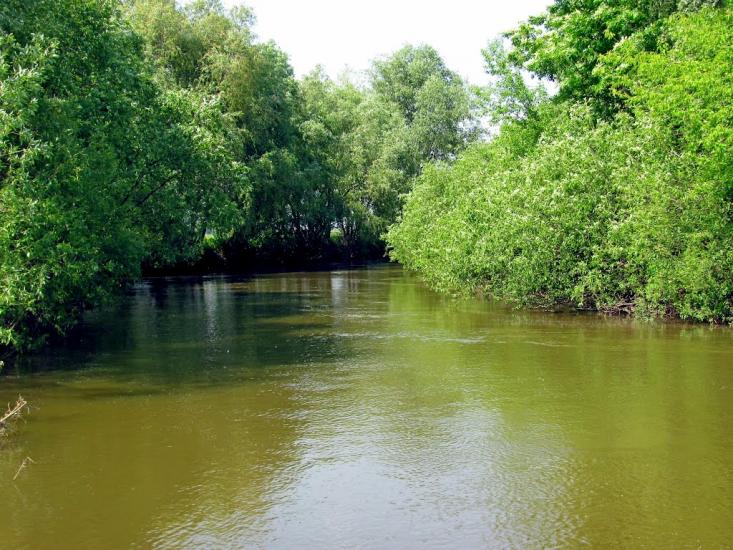 Козлиничі з panoramio.com - Козлиничи